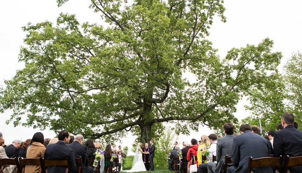 Angela Proffitt - Listen to Weddings Unveiled Podcast: Episode 4